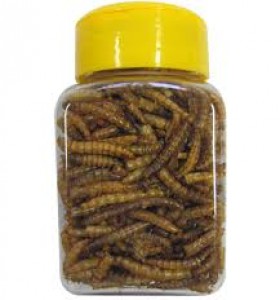 Snack voor Hamsters: Meelwormen (vriesdroog) 100 ml