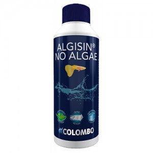 Algisin No Algae Colombo 100 ml
